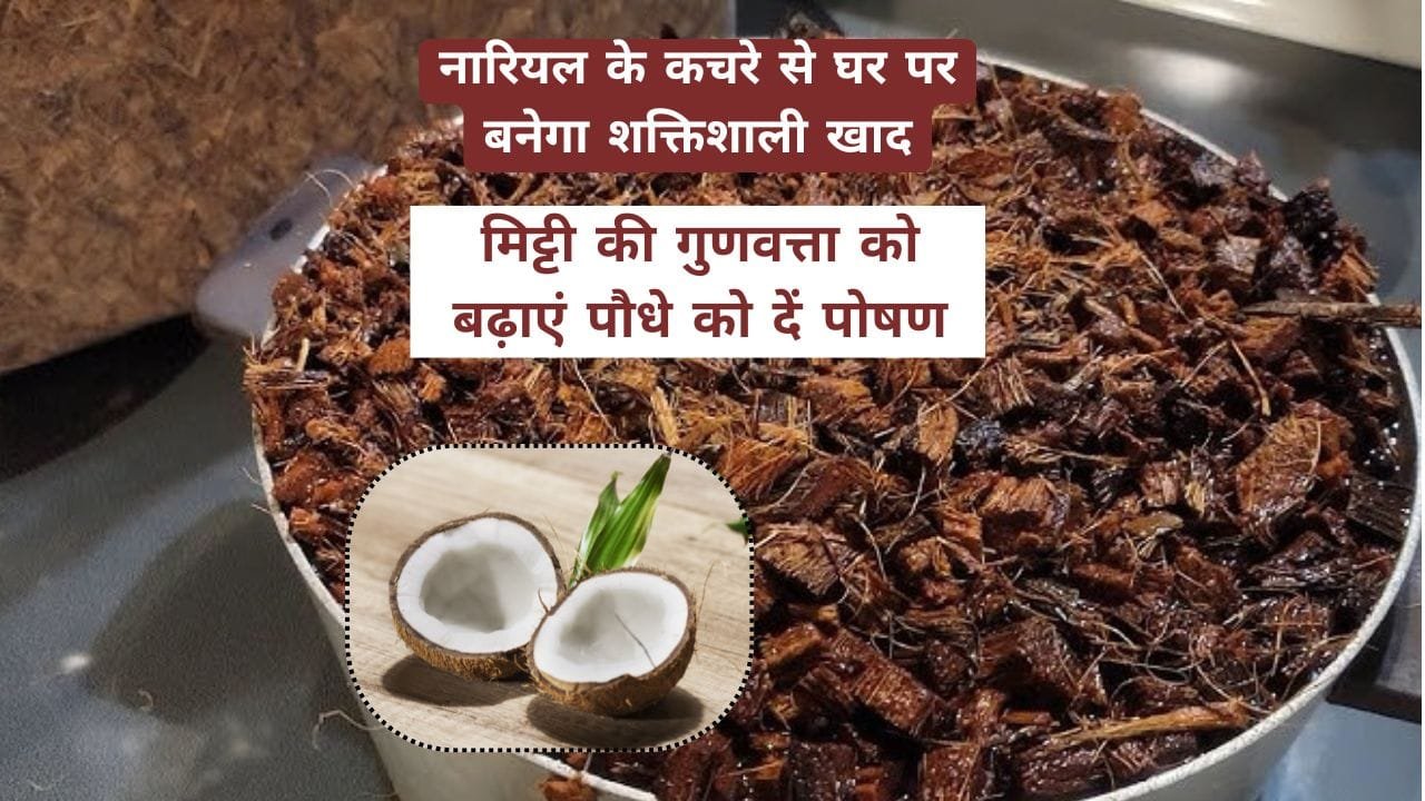 नारियल के छिलके से खाद कैसे बनाएं