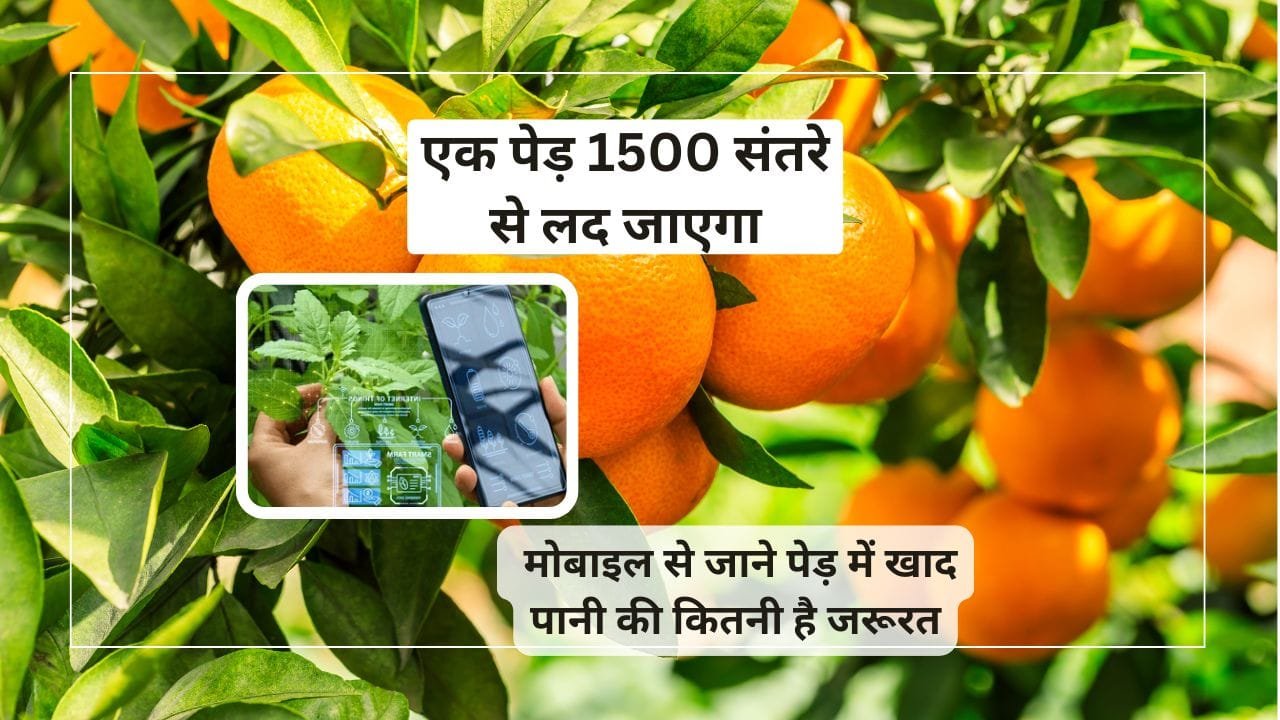 महाVISTAAR-AI और सोलर पावर्ड सेंसर