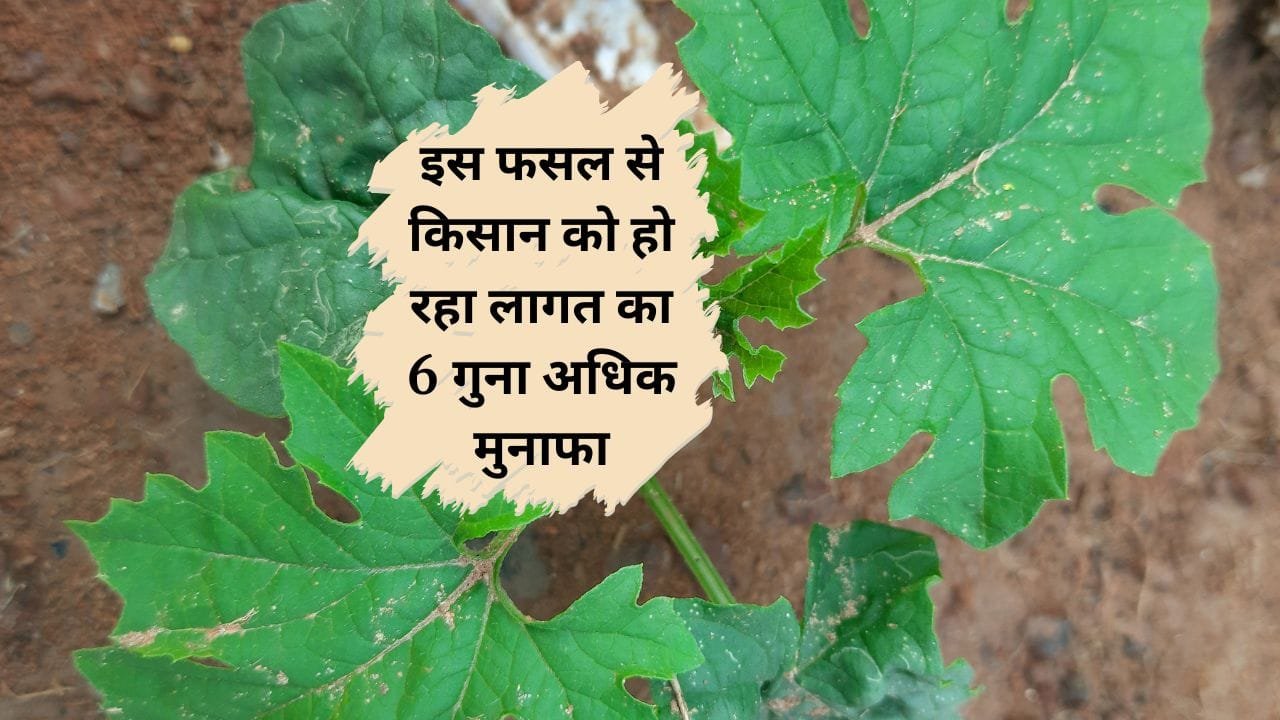 किसान की सफलता की कहानी