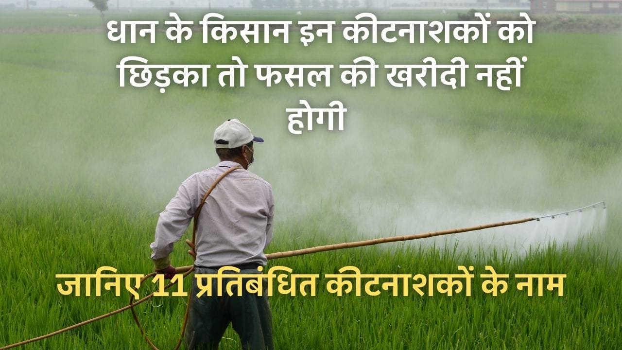 प्रतिबंधित कीटनाशकों के नाम