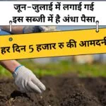 गर्मी-बरसात के लिए भिंडी की खेती