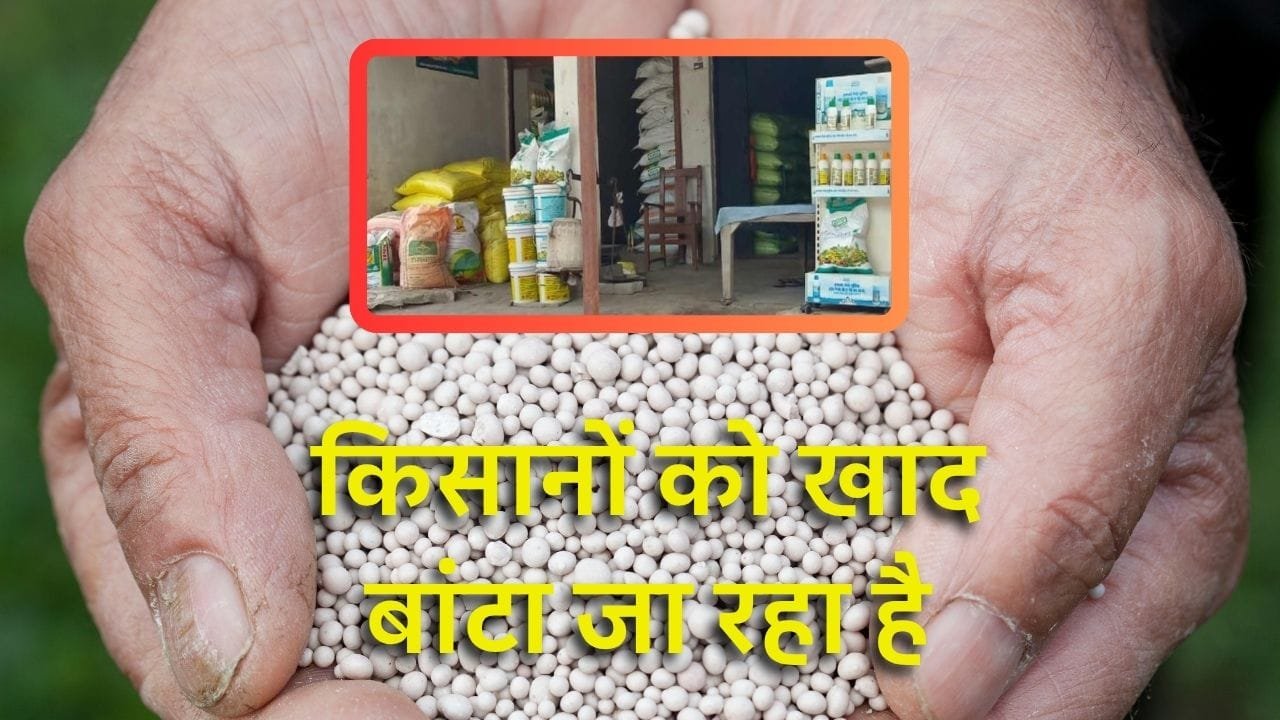 खरीफ फसलों के लिए खाद