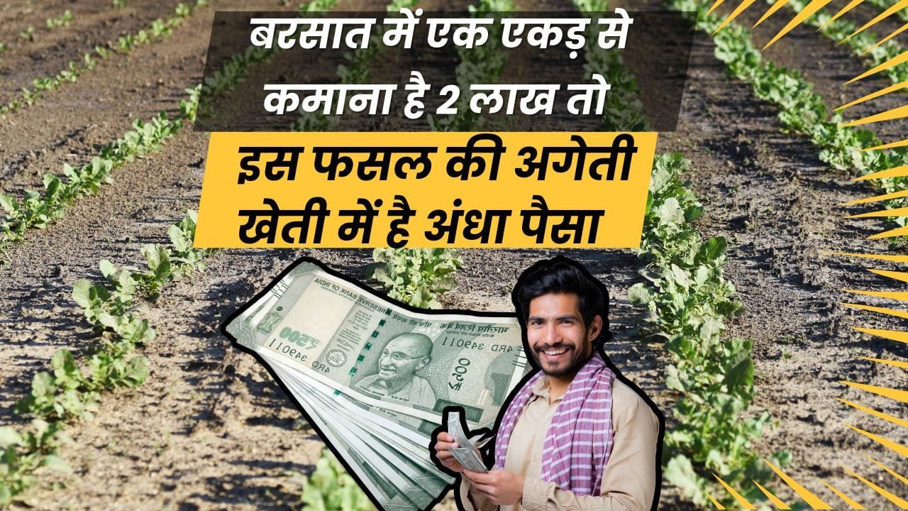 सफेद मूली की अगेती खेती