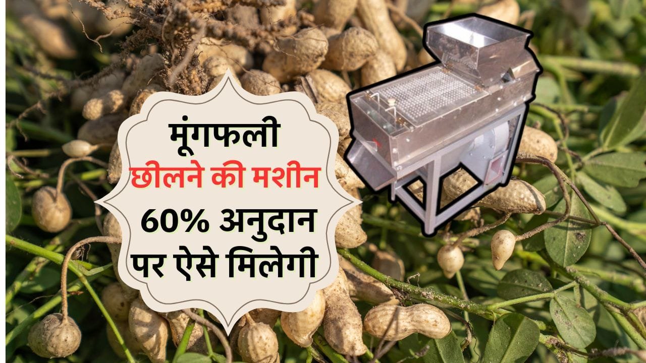 मूंगफली छीलने वाली मशीन पर सब्सिडी