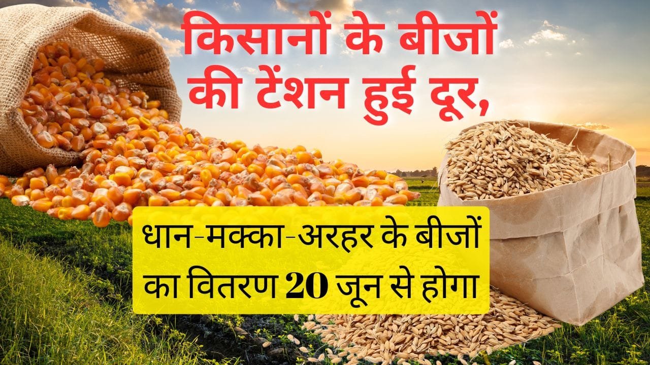 20 जून से होगा बीजों का वितरण