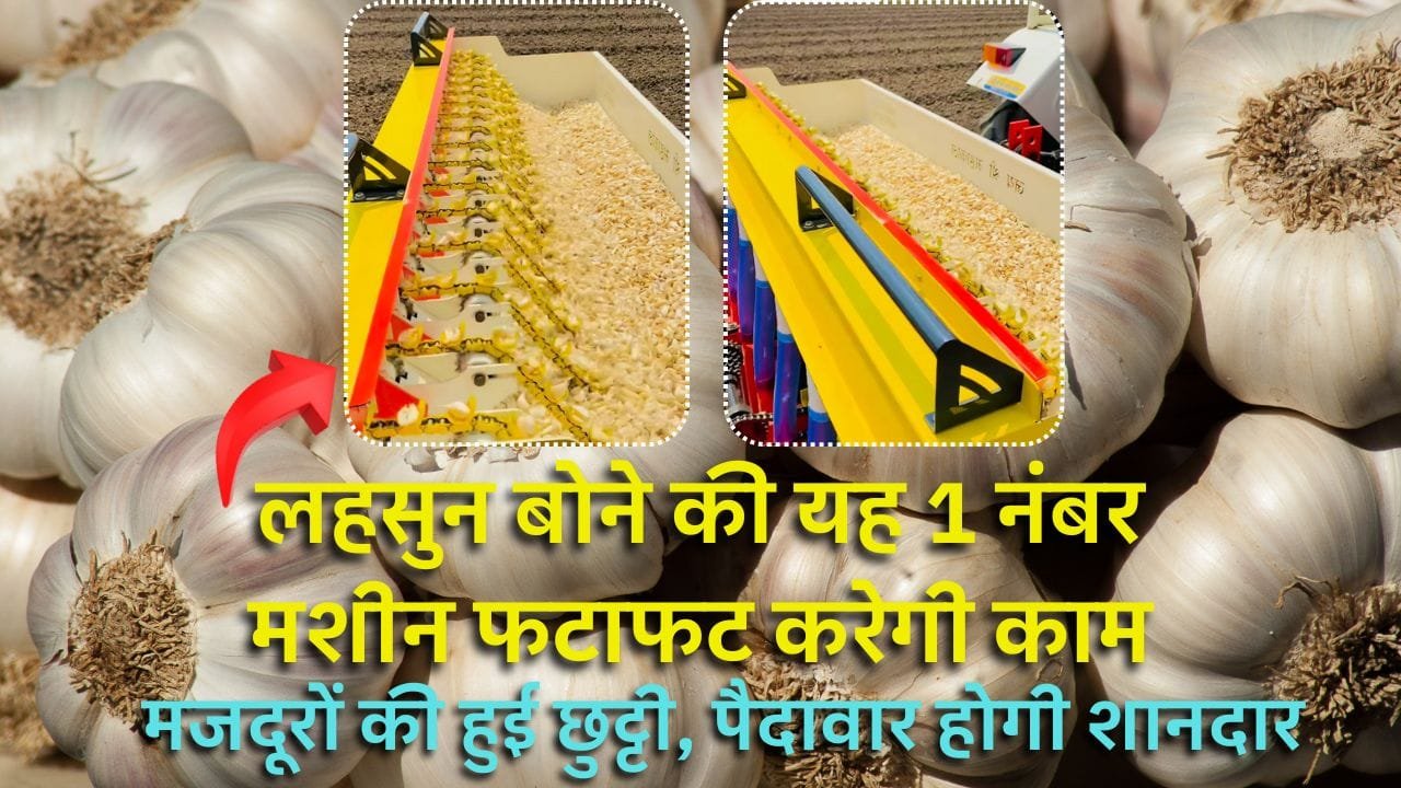 लहसुन बोने की मशीन की खासियत