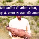 पथरीली जमीन