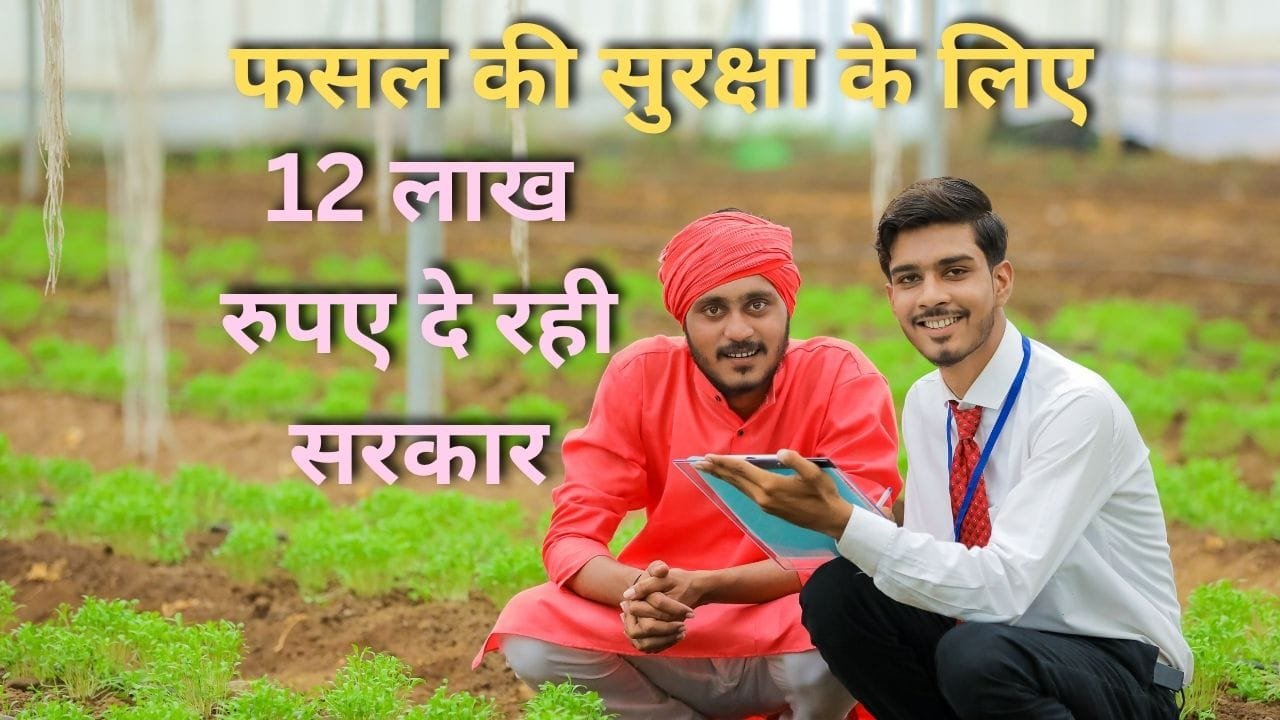 पॉलीहाउस और फसल पर सब्सिडी