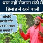 अदरक की खेती