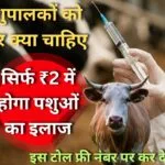 पशुपालकों को एक टोल फ्री नंबर