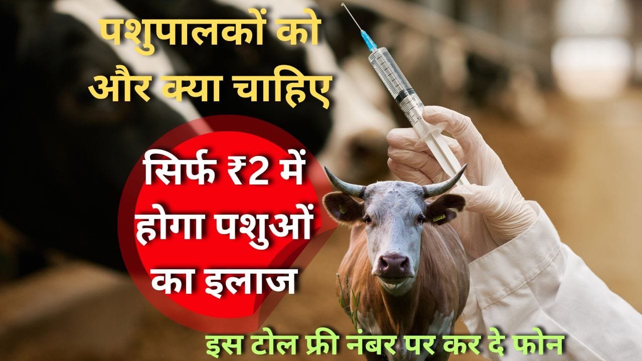 पशुपालकों को एक टोल फ्री नंबर