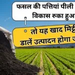 इन खाद से मिलेगा मिट्टी को नाइट्रोजन