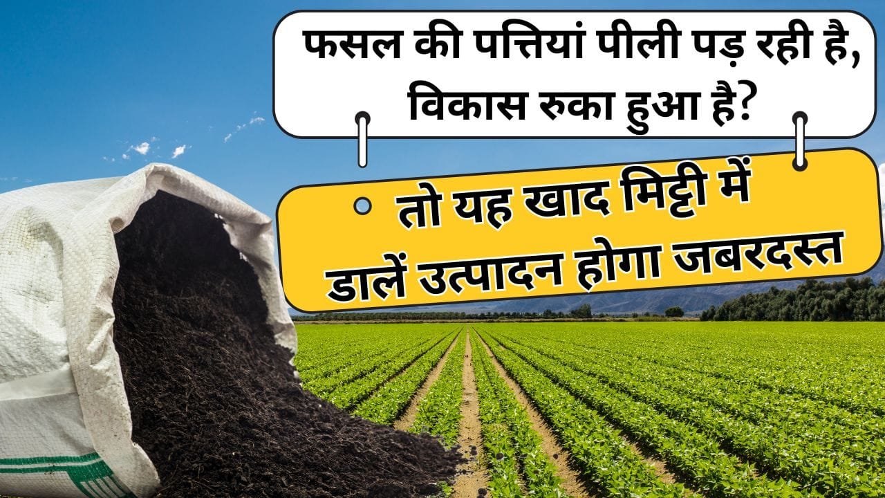 इन खाद से मिलेगा मिट्टी को नाइट्रोजन