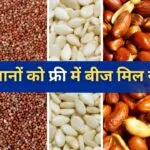 झारखंड के गिरिडीह जिले के किसानों को 100 फीसदी अनुदान पर बीज दिए जा रहे हैं
