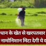 खरपतवार हटाने के लिए शाकनाशी