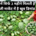 साल में सिर्फ 2 महीने मिलती है ये सब्जी, मार्केट में है खूब डिमांड खेती से सिर्फ 60 दिनों में होगी तगड़ी कमाई, जाने नाम