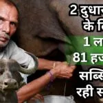 समग्र भैंस पालन विकास योजना