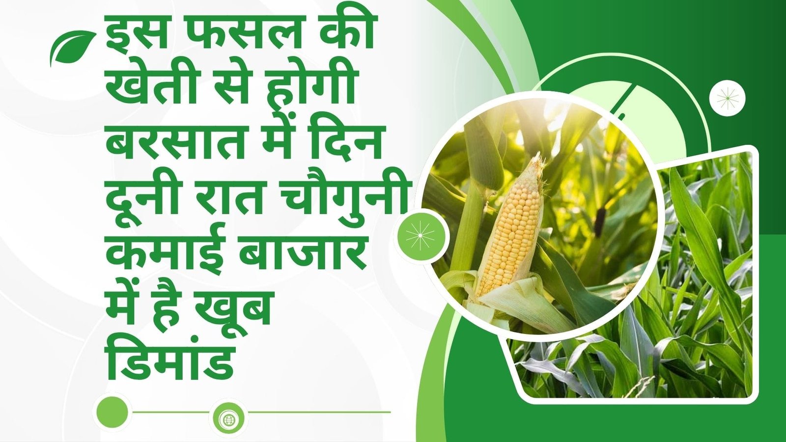इस फसल की खेती से होगी बरसात में दिन दूनी रात चौगुनी कमाई, बाजार में है खूब डिमांड खेती से कमाएं लाखों रूपए, जाने नाम