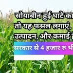 मक्का की खेती के लिए ₹4000 प्रति हेक्टेयर अनुदान