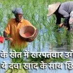 धान के खेत के लिए खरपतवार नाशक