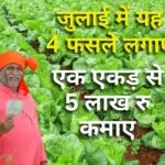 जुलाई में सब्जी की खेती में मुनाफा
