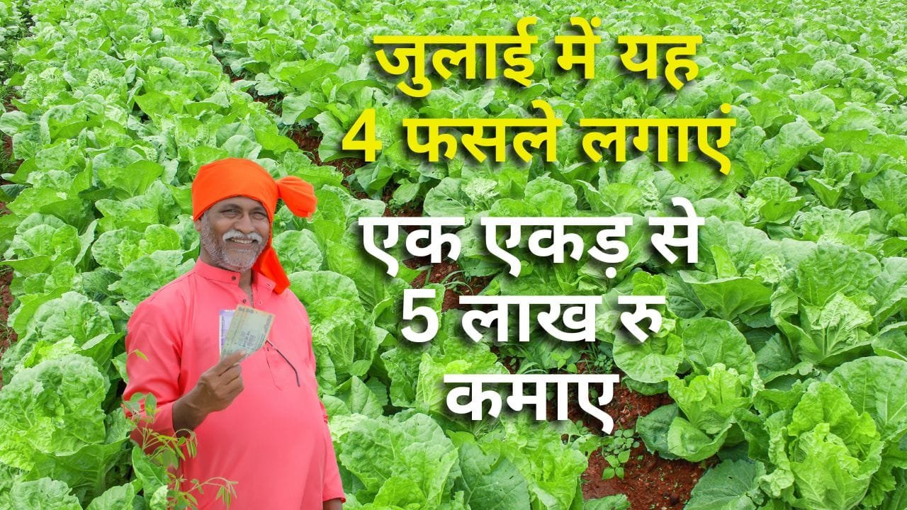 जुलाई में सब्जी की खेती में मुनाफा