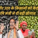 मूंग और उड़द की MSP जानिए