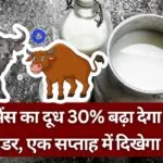 गाय-भैंस का दूध बढ़ाने के लिए उपाय