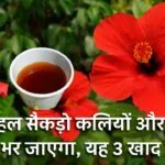 गुड़हल के लिए खाद