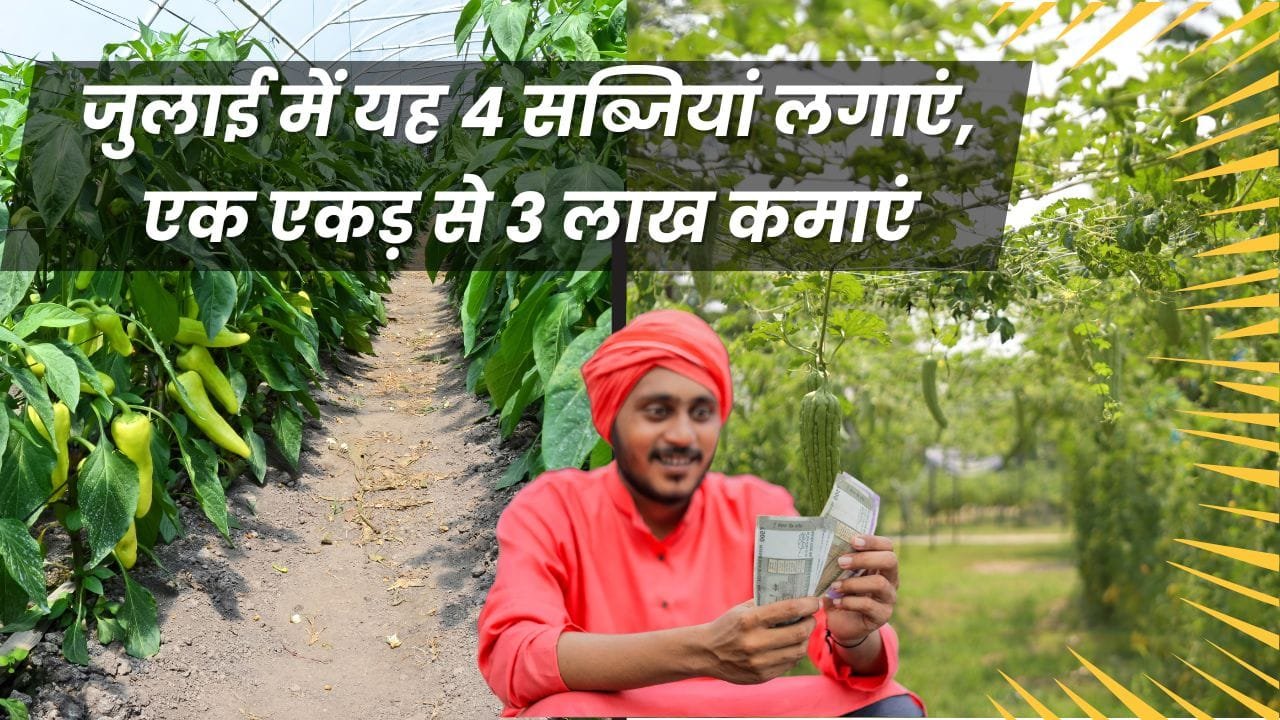 जुलाई के लिए 4 फसलें