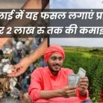 जून-जुलाई में खेती के लिए फसल