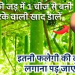 लौकी के लिए देसी खाद