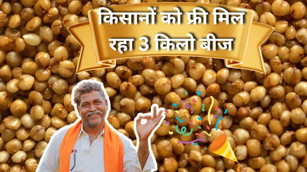 किसानों को फ्री में बांटे जा रहे हैं बीज