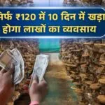 कैसे करें मशरूम की खेती