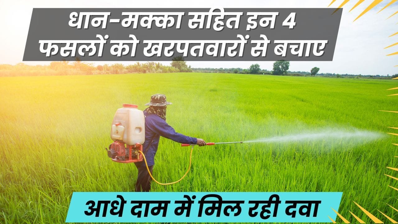 खरपतवार नाशक 50% सब्सिडी