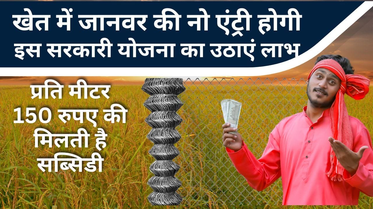 राष्ट्रीय बागवानी एकीकृत मिशन के तहत किसानों को तारबंदी के लिए 50% अनुदान दिया जा रहा है