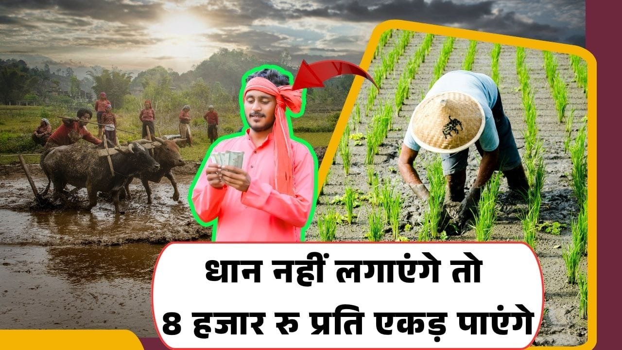 मेरा पानी मेरी विरासत योजना