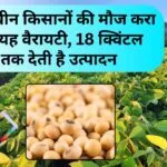 सोयाबीन की 18 क्विंटल उत्पादन देने वाली किस्म