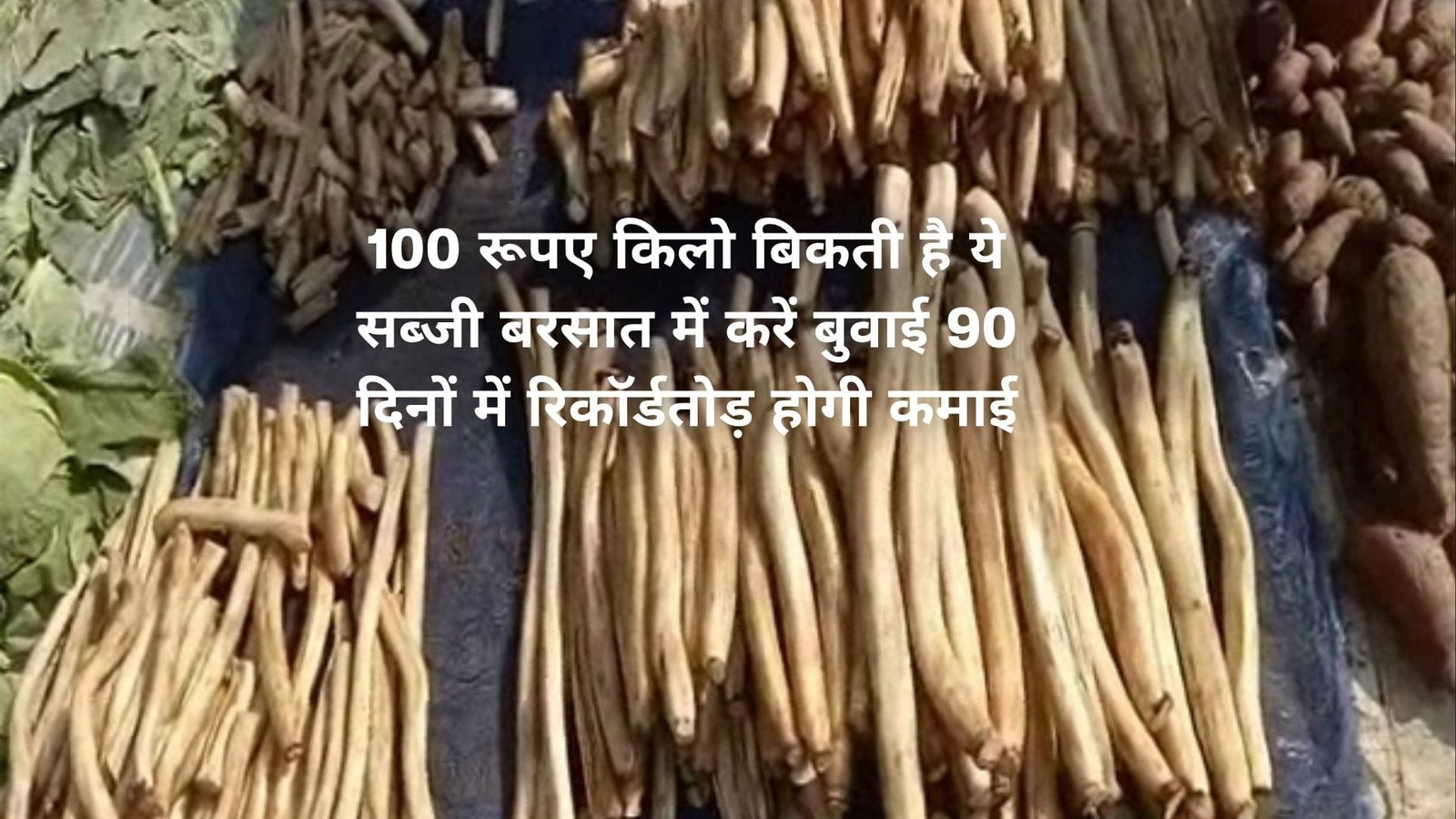 100 रूपए किलो बिकती है ये सब्जी, बरसात में करें बुवाई 90 दिनों में होगी रिकॉर्डतोड़ कमाई साल में तीन बार मिलेगा बंपर उत्पादन