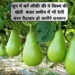 जून में करें लौकी की ये किस्म की खेती, मार्केट में है खूब डिमांड बंजर जमीन में भी देगी बंपर पैदावार हो जायेंगे धनवान, जाने नाम