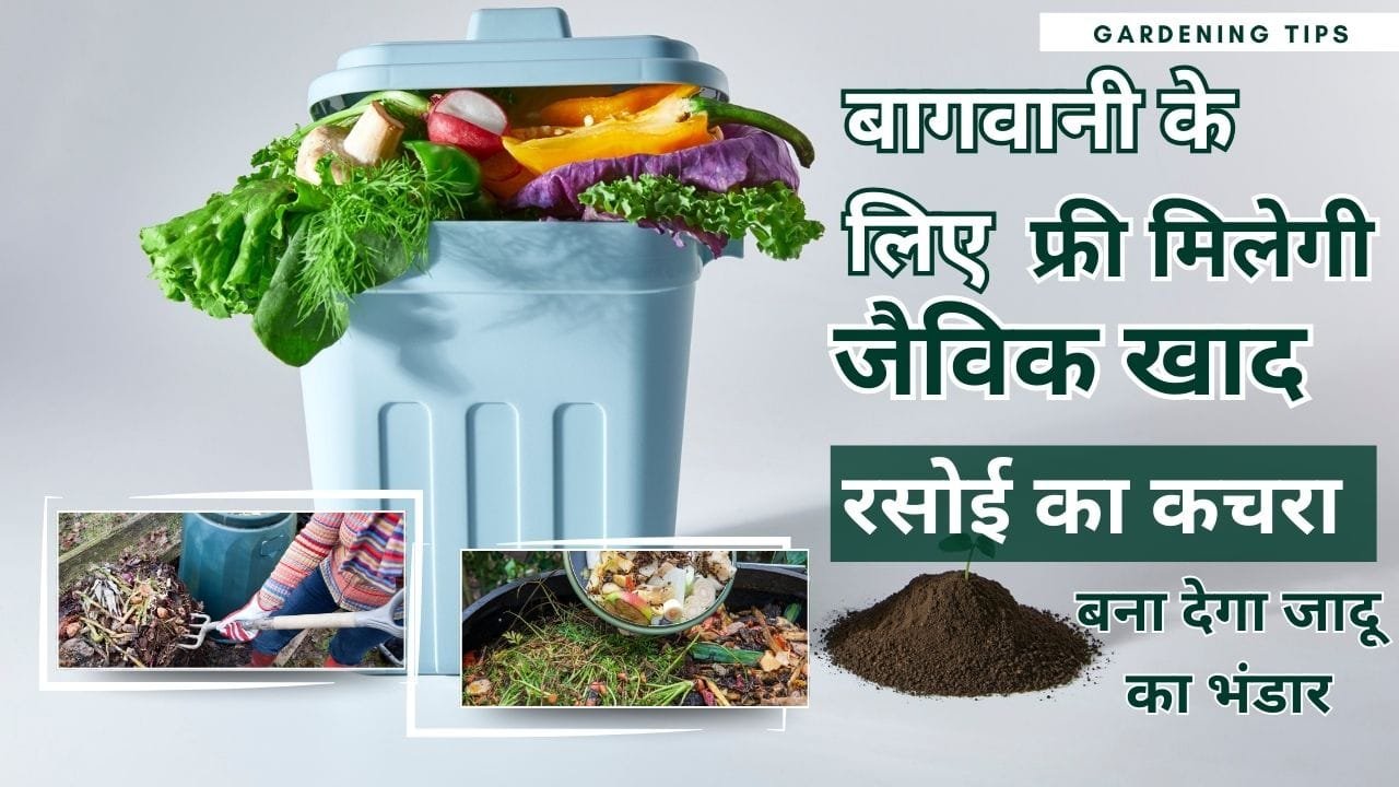 रसोई के कचरे से खाद कैसे बनाएं