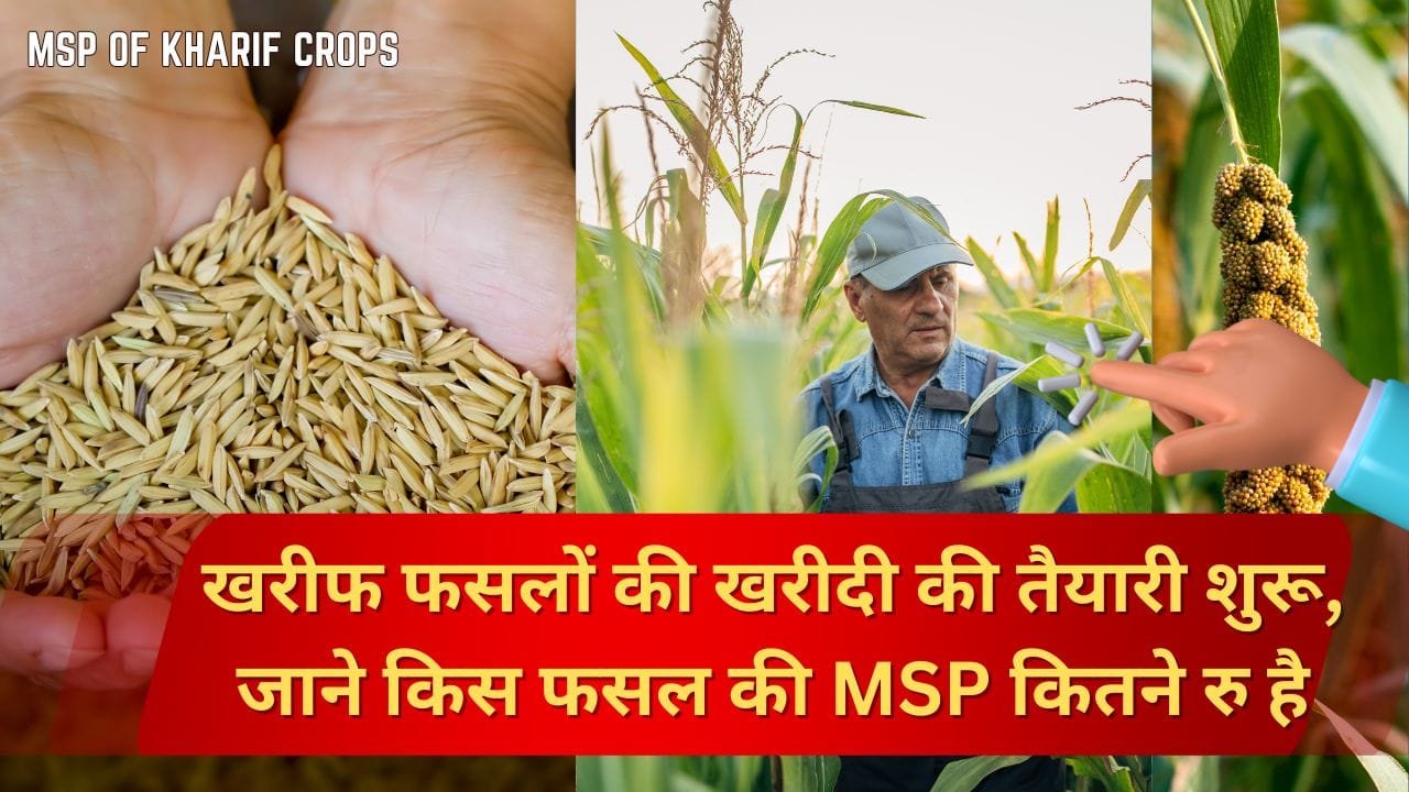 खरीफ फसलों की फसलों की MSP