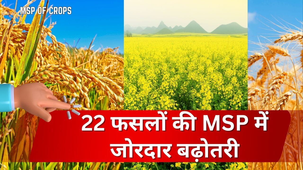 किन फसलों की एमएसपी 2025-26 में कितनी है