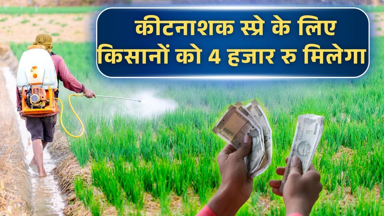 कीट प्रबंधन योजना