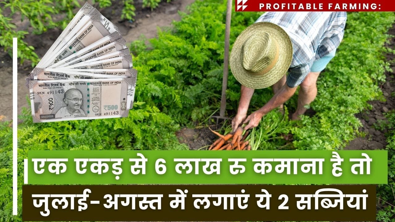 जुलाई-अगस्त में करें इन 2 सब्जियों की खेती