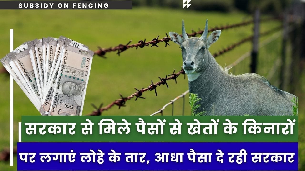 तारबंदी पर सब्सिडी कैसे मिलेगी