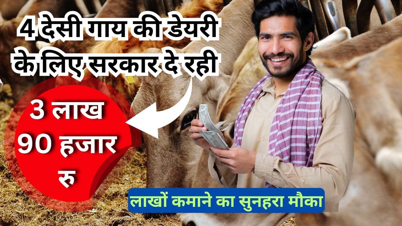 देसी गाय की डेयरी