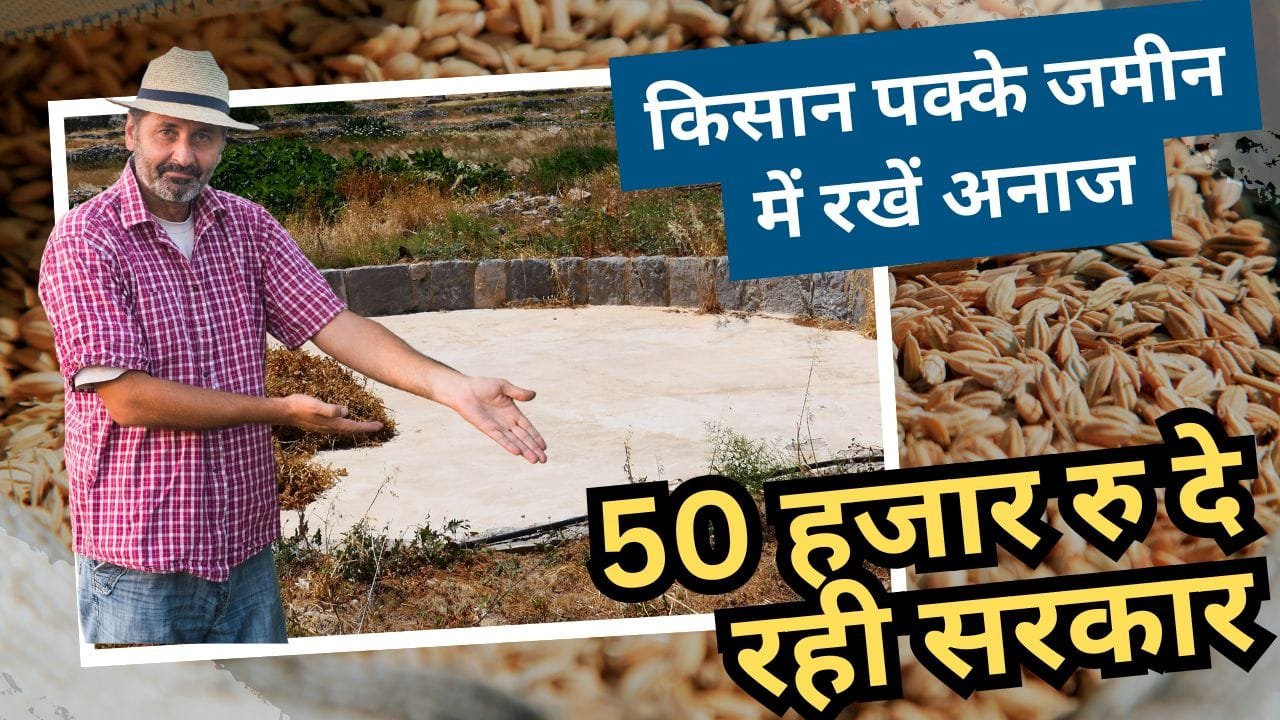 किसान पक्के जमीन में रखेंगे अनाज
