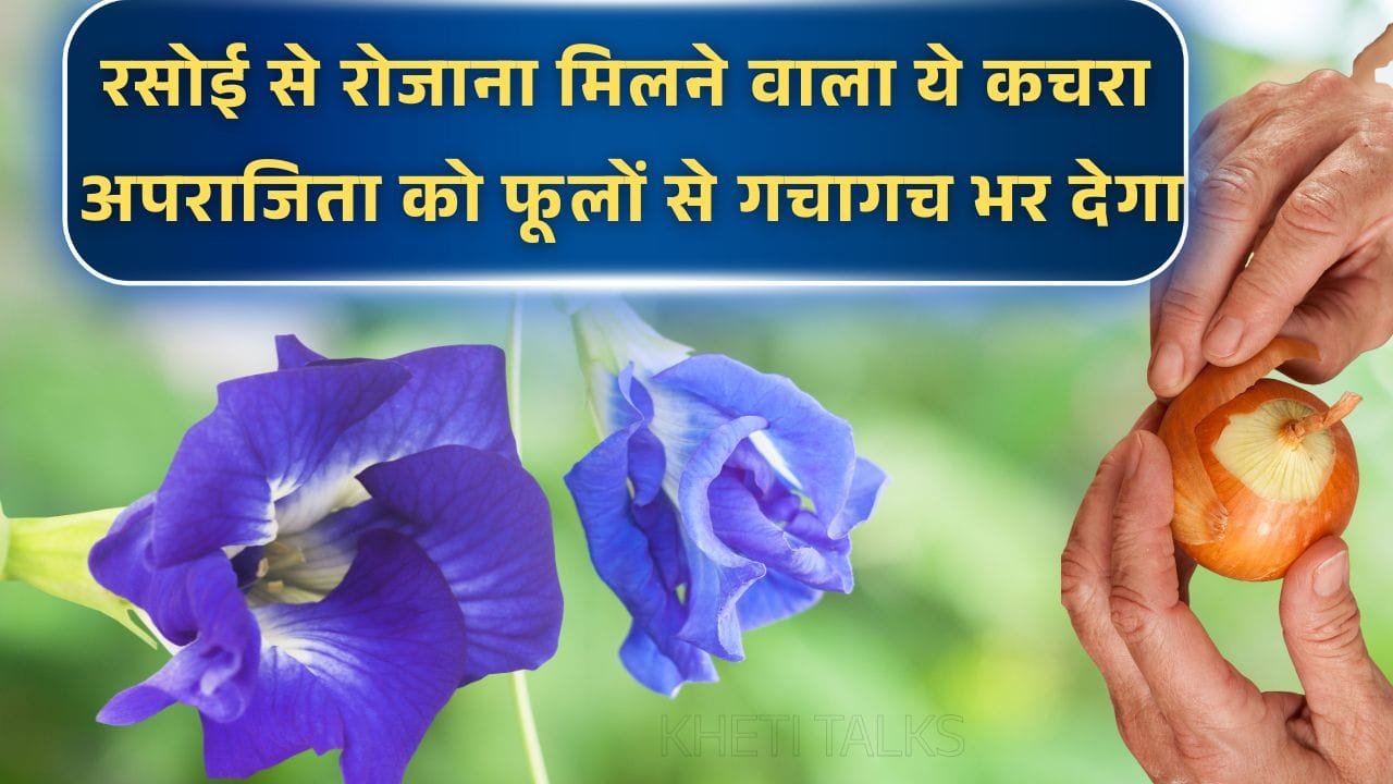 अपराजिता के लिए रसोई से निकलने वाली खाद