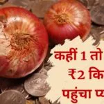 Onion price